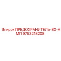 9753218208 ПРЕДОХРАНИТЕЛЬ-80-АМП Epiroc
