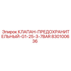 830100636 КЛАПАН-ПРЕДОХРАНИТЕЛЬНЫЙ-G1-25-3-7BAR Epiroc