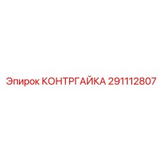 Контргайка из нержавеющей стали артикул 291112807