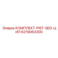 6219063300 КОМПЛЕКТ-PIST-SEG-ЦИЛ Epiroc