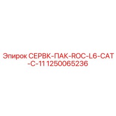 1250065236 СЕРВК-ПАК-ROC-L6-CAT-C-11 Epiroc