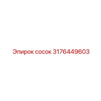 3176449603 Сосок Epiroc
