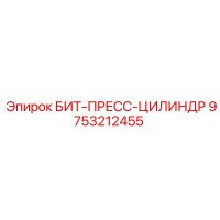 9753212455 БИТ-ПРЕСС-ЦИЛИНДР Epiroc
