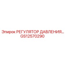 Профессиональный регулятор давления GS12570290