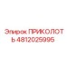 4812025995 ПРИКОЛОТЬ Epiroc