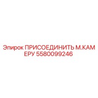 5580099246 ПРИСОЕДИНИТЬ М.КАМЕРУ Epiroc
