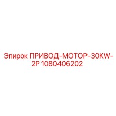 1080406202 ПРИВОД-МОТОР-30KW-2P Epiroc