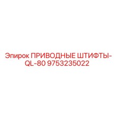 9753235022 ПРИВОДНЫЕ ШТИФТЫ-QL-80 Epiroc