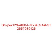 2657939126 РУБАШКА-МУЖСКАЯ-ST Epiroc