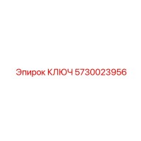 5730023956 КЛЮЧ Epiroc