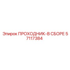 57117384 ПРОХОДНИК-В СБОРЕ Epiroc