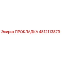 4812113879 ПРОКЛАДКА Epiroc