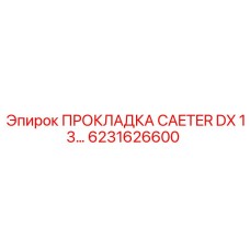6231626600 ПРОКЛАДКА CAETER DX 13 Epiroc