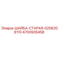4700935458 ШАЙБА-СТАРАЯ-0256208110 Epiroc