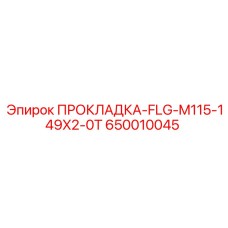 650010045 ПРОКЛАДКА-FLG-M115-149X2-0T Epiroc