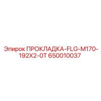 650010037 ПРОКЛАДКА-FLG-M170-192X2-0T Epiroc