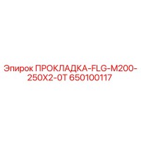 650100117 ПРОКЛАДКА-FLG-M200-250X2-0T Epiroc
