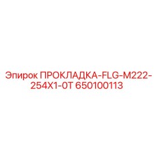 650100113 ПРОКЛАДКА-FLG-M222-254X1-0T Epiroc