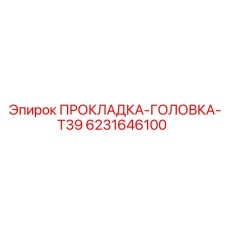 6231646100 ПРОКЛАДКА ГОЛОВКА T39 Epiroc