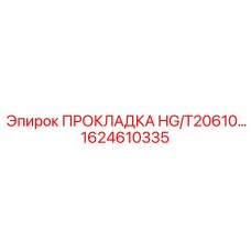 1624610335 ПРОКЛАДКА HG/T20610 Эпирок