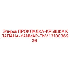 1310036936 ПРОКЛАДКА-КРЫШКА КЛАПАНА-YANMAR-TNV Epiroc