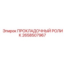Подшипниковый ролик с артикулом 2658507967 в антикоррозийной упаковке