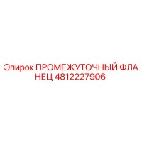 4812227906 ПРОМЕЖУТОЧНЫЙ ФЛАНЕЦ Epiroc