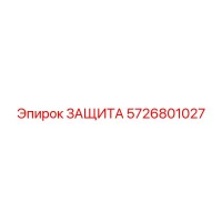 5726801027 ЗАЩИТА Epiroc