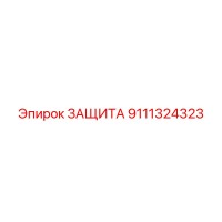 9111324323 ЗАЩИТА Epiroc