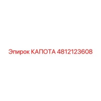 4812123608 КАПОТА Epiroc