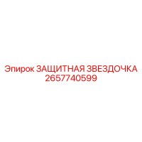 2657740599 ЗАЩИТНАЯ ЗВЕЗДОЧКА Epiroc