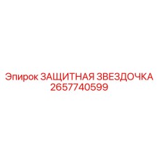 2657740599 ЗАЩИТНАЯ ЗВЕЗДОЧКА Epiroc