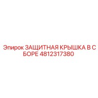 4812317380 ЗАЩИТНАЯ КРЫШКА В СБОРЕ Epiroc