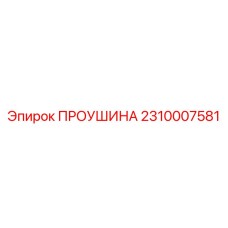 2310007581 ПРОУШИНА Epiroc