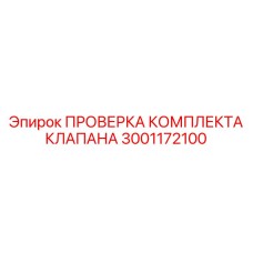 3001172100 ПРОВЕРКА КОМПЛЕКТА КЛАПАНА Epiroc