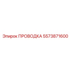 5573871600 ПРОВОДКА Epiroc