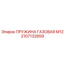 2107132859 ПРУЖИНА ГАЗОВАЯ М12 Epiroc