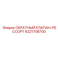 6221708700 ОБРАТНЫЙ КЛАПАН-РЕССОРТ Epiroc
