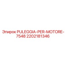 2202181346 PULEGGIA-PER-MOTORE-7548 Epiroc