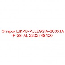 2202748400 ШКИВ-PULEGGIA-200X1A-F-38-AL Epiroc