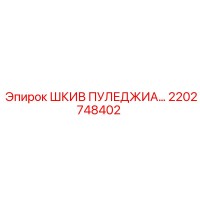2202748402 ШКИВ ПУЛЕДЖИА… Epiroc