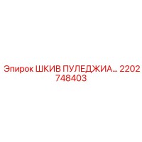 2202748403 ШКИВ ПУЛЕДЖИА… Epiroc
