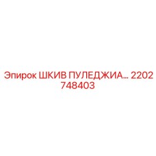 2202748403 ШКИВ ПУЛЕДЖИА… Epiroc