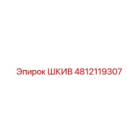 4812119307 ШКИВ Epiroc