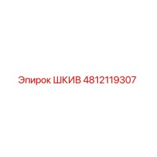 4812119307 ШКИВ Epiroc