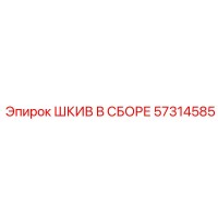 57314585 ШКИВ В СБОРЕ Epiroc