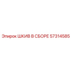 57314585 ШКИВ В СБОРЕ Epiroc