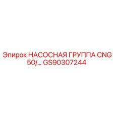 GS90307244 НАСОСНАЯ ГРУППА CNG50/… Эпирок