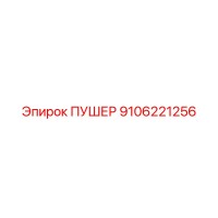 9106221256 ПУШЕР Epiroc