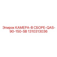 1310313036 КАМЕРА-В СБОРЕ-QAS-90-150-SB Epiroc